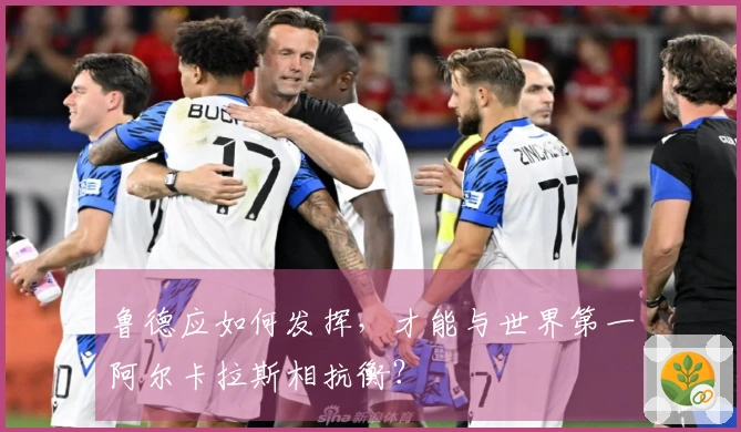 鲁德应如何发挥，才能与世界第一阿尔卡拉斯相抗衡？